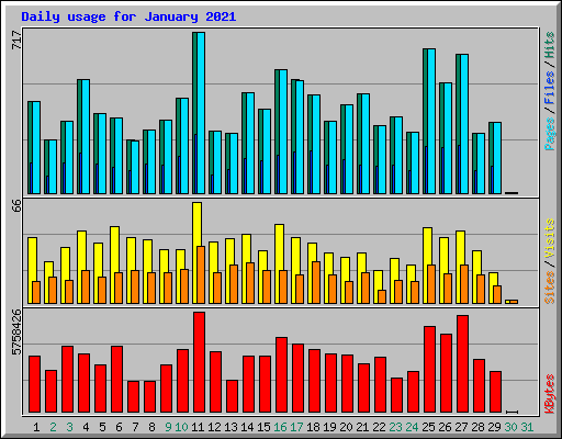 Daily usage for January 2021