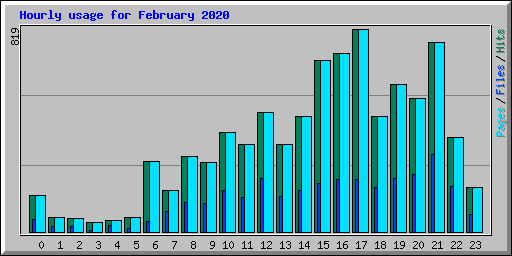 Hourly usage for February 2020